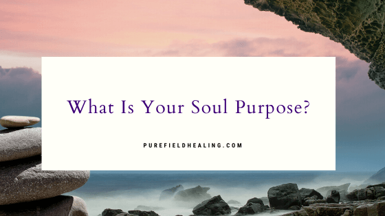 soul purpose