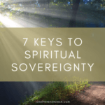 trees with light shining spiritual blog sovereignty healing
