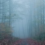 why-is-everything-so-heavy