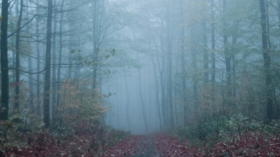 why-is-everything-so-heavy