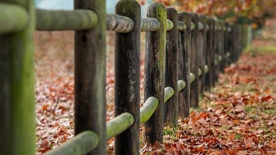 fence with green moss and leaves how to set boundaries spiritual blog