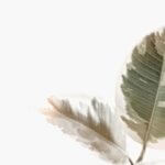 two green leaves inner child healing blog