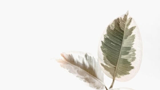 two green leaves inner child healing blog