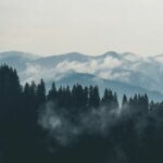 mountaintops positive thinking toxic positivity