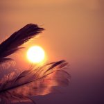 Josephine hardman Akashic Records healing