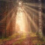 Josephine Hardman akashic records spiritual healing