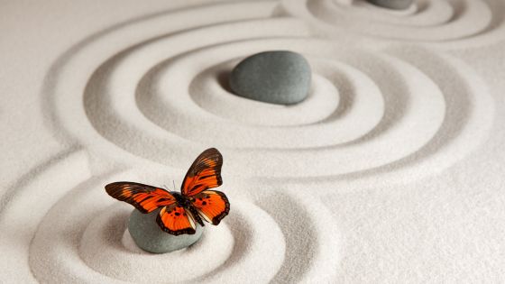 Josephine Hardman akashic records certification program