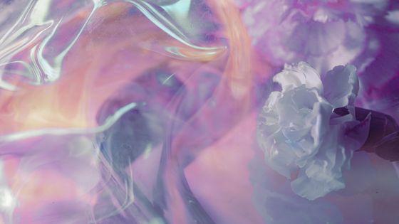 Josephine Hardman akashic records healing