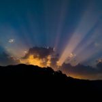 Josephine Hardman healing