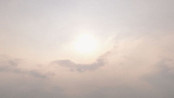 akashic records training course certification