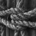 josephine hardman akashic records healing