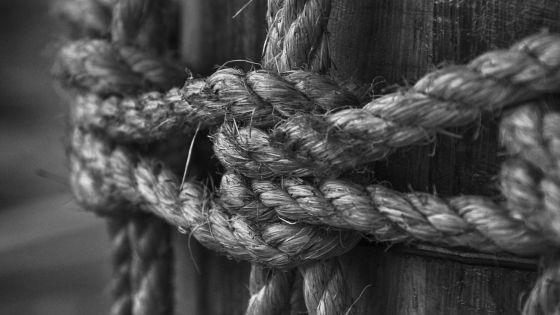 josephine hardman akashic records healing