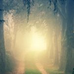 akashic records healing