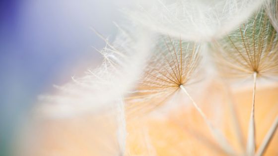 healing path awakening